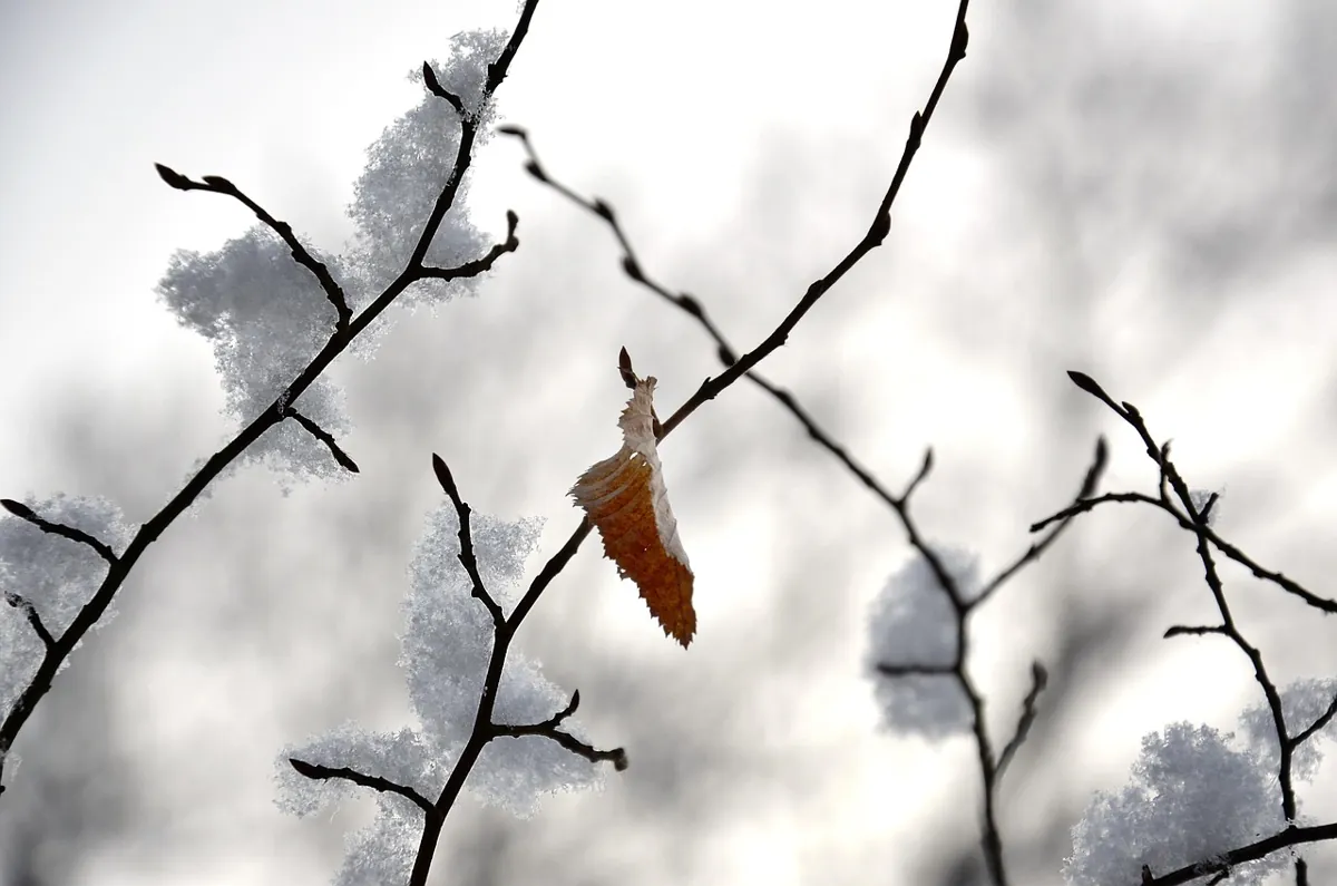 démarrer une voiture par grand froid